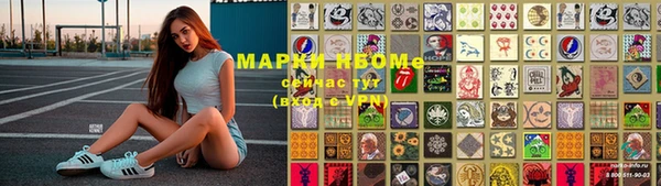 твердый Аркадак