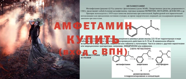 спиды Армянск