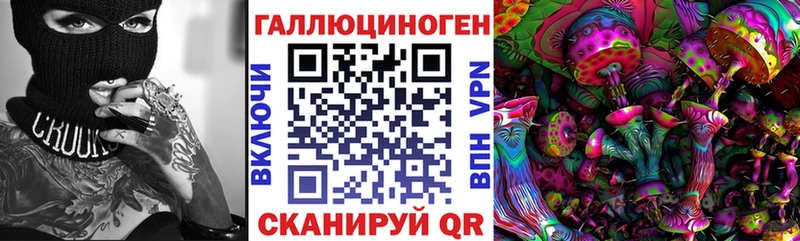 где купить наркотик Свирск Псилоцибиновые грибы Psilocybe